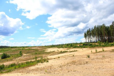 Güzel yaz manzarası. Doğa, seyahat
