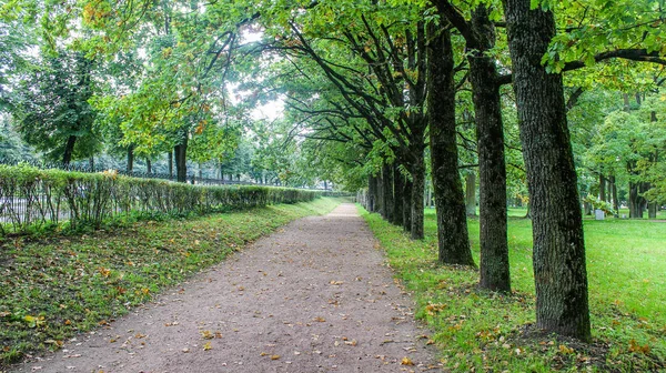 Szép Nyári Park Természet Utazás — Stock Fotó