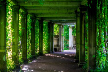 park'ın güzel sokakta. 