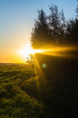 Bir alandaki yaz akşam günbatımı. Rus manzaralar. Doğal bir olay. Turuncu Gökyüzü.