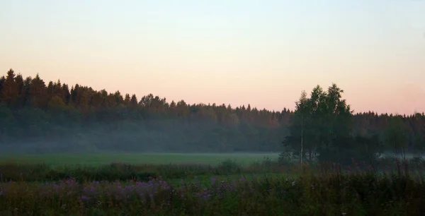 Natuur Landschap Zonsondergang Achtergrond — Stockfoto