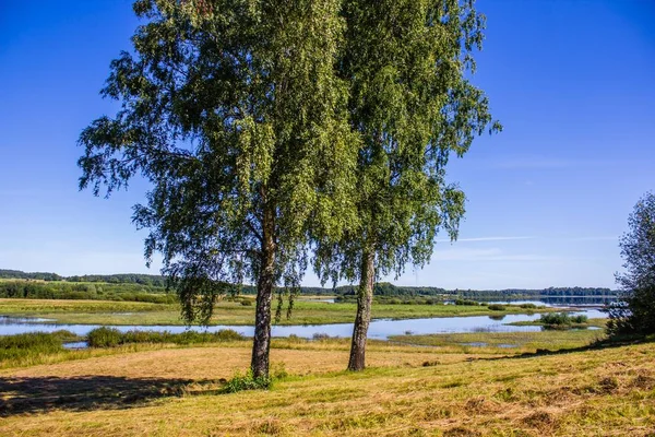 Vackert Sommarlandskap Natur Resor — Stockfoto