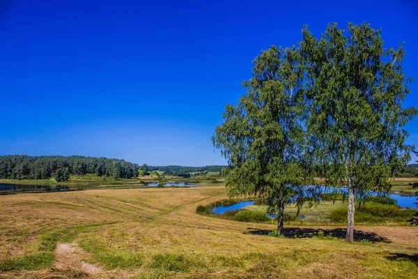 Prachtig Zomers Landschap Natuur Reizen — Stockfoto