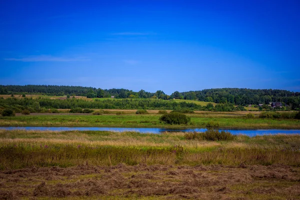 Schöne Sommerlandschaft Natur Reisen — Stockfoto