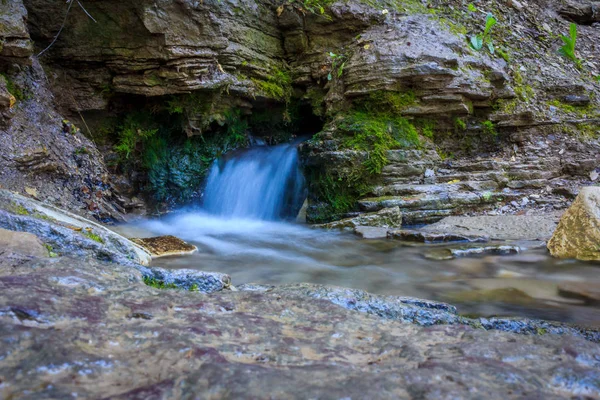 緑の森で春の滝 — ストック写真