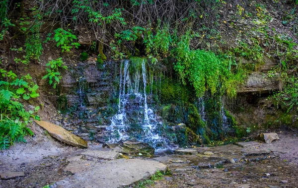 Bahar Şelale Yeşil Orman Içinde — Stok fotoğraf