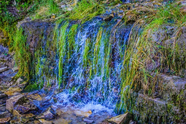 Весенний Водопад Зеленом Лесу — стоковое фото