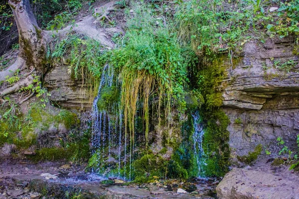 Весенний Водопад Зеленом Лесу — стоковое фото