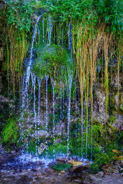 Весенний Водопад Зеленом Лесу — стоковое фото