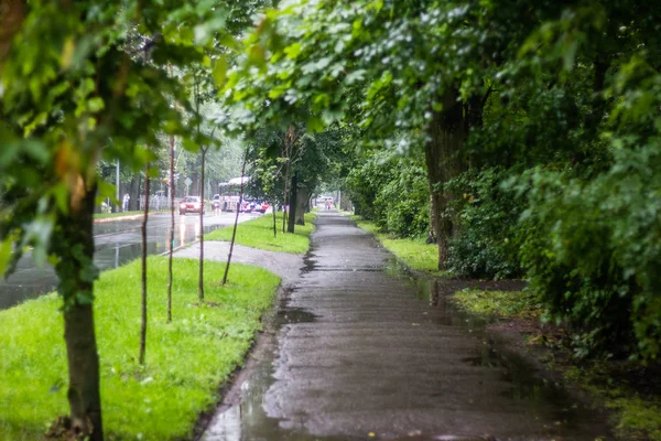 Güzel yaz manzarası. Doğa, seyahat