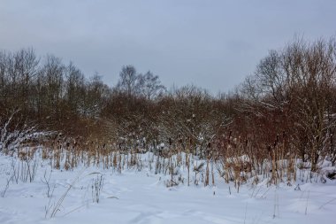 Kış manzarası açık havada. 