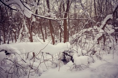 Kış manzarası açık havada. 
