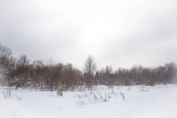 Winter landscape in clear weather.