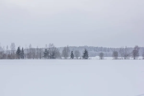 Winter landscape in clear weather.