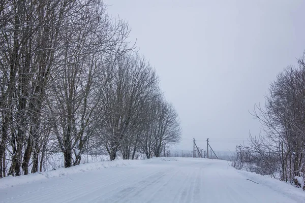 晴天の冬の風景 — ストック写真