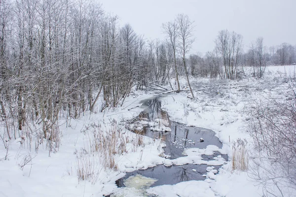 Paysage Hivernal Par Temps Clair — Photo