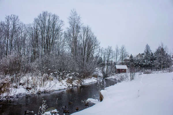 Vinterlandskap Klart Väder — Stockfoto