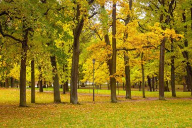 Illinois, Dupage County 'deki St. James Çiftliği' ndeki yürüyüş ve at binme patikalarından birinde sonbahar geldi..