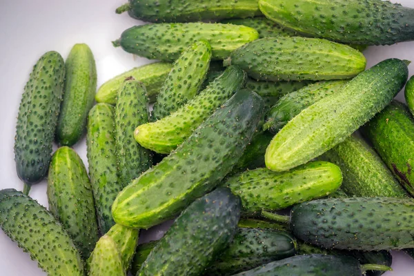 Pila Pepinos Verdes Maduros — Foto de Stock