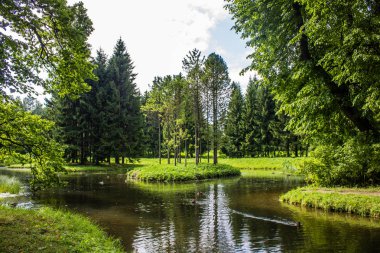 Güzel yaz park. Doğa, seyahat