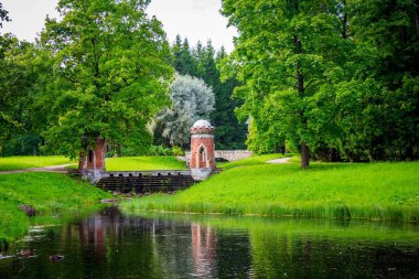 Güzel yaz park. Doğa, seyahat