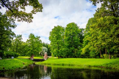 Güzel yaz park. Doğa, seyahat
