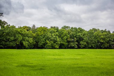 Güzel yaz park. Doğa, seyahat