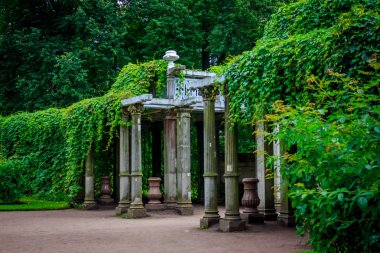 Güzel yaz park. Doğa, seyahat