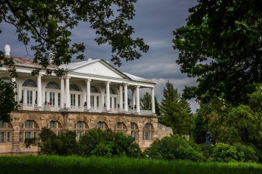 Güzel yaz park. Doğa, seyahat
