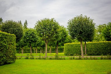 Güzel yaz park. Doğa, seyahat