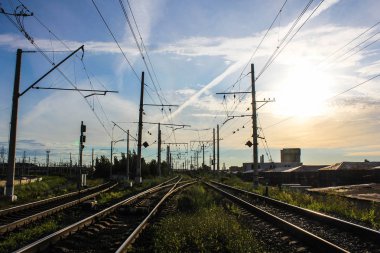 Perspektif görünümü dandelions ve mavi gökyüzü ve yeşil ağaçlar altında kaçmak demiryolu ile yeşil alan. Demiryolu seyahat için