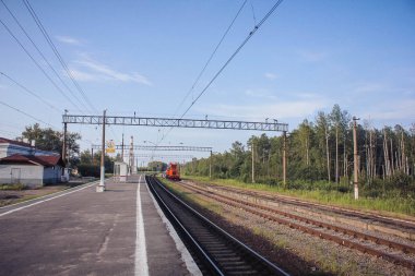 Perspektif görünümü dandelions ve mavi gökyüzü ve yeşil ağaçlar altında kaçmak demiryolu ile yeşil alan. Demiryolu seyahat için