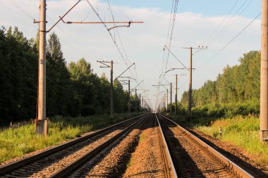 Perspektif görünümü dandelions ve mavi gökyüzü ve yeşil ağaçlar altında kaçmak demiryolu ile yeşil alan. Demiryolu seyahat için