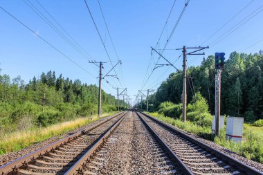 Perspektif görünümü dandelions ve mavi gökyüzü ve yeşil ağaçlar altında kaçmak demiryolu ile yeşil alan. Demiryolu seyahat için