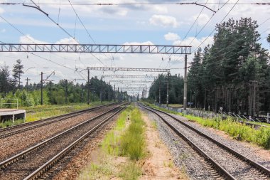 Perspektif görünümü dandelions ve mavi gökyüzü ve yeşil ağaçlar altında kaçmak demiryolu ile yeşil alan. Demiryolu seyahat için