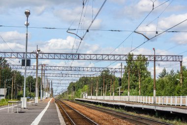 Perspektif görünümü dandelions ve mavi gökyüzü ve yeşil ağaçlar altında kaçmak demiryolu ile yeşil alan. Demiryolu seyahat için