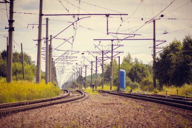 Perspektif görünümü dandelions ve mavi gökyüzü ve yeşil ağaçlar altında kaçmak demiryolu ile yeşil alan. Demiryolu seyahat için