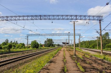 Perspektif görünümü dandelions ve mavi gökyüzü ve yeşil ağaçlar altında kaçmak demiryolu ile yeşil alan. Demiryolu seyahat için