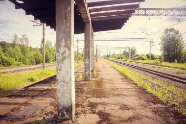 Perspektif görünümü dandelions ve mavi gökyüzü ve yeşil ağaçlar altında kaçmak demiryolu ile yeşil alan. Demiryolu seyahat için