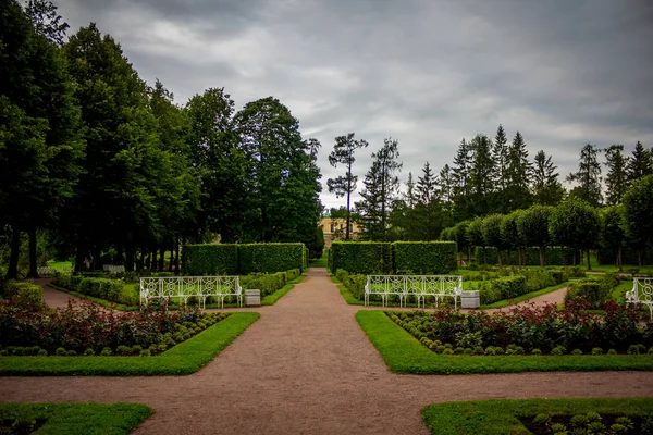 Mooie Zomerse Park Natuur Reizen — Stockfoto