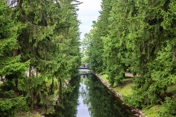 Szép Nyári Park Természet Utazás — Stock Fotó