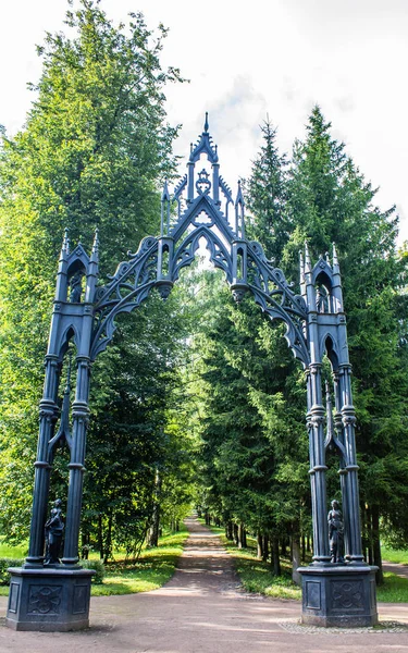 Güzel yaz park. Doğa, seyahat