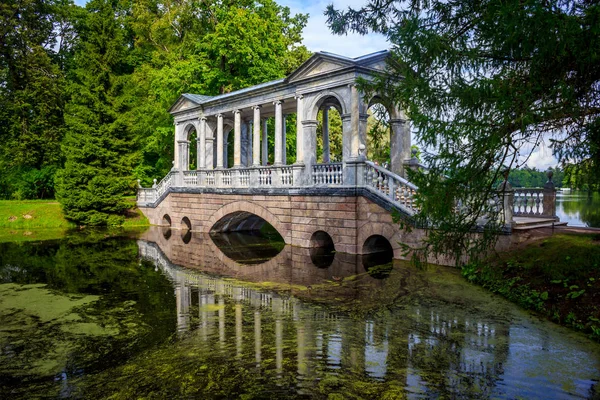 Mooie Zomerse Park Natuur Reizen — Stockfoto