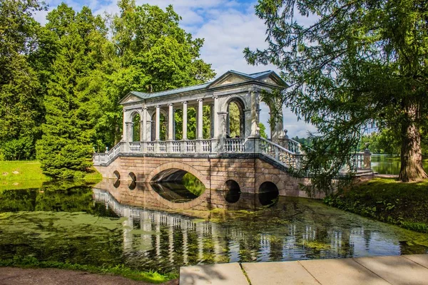 Güzel yaz park. Doğa, seyahat