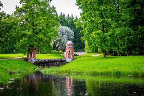 Güzel yaz park. Doğa, seyahat