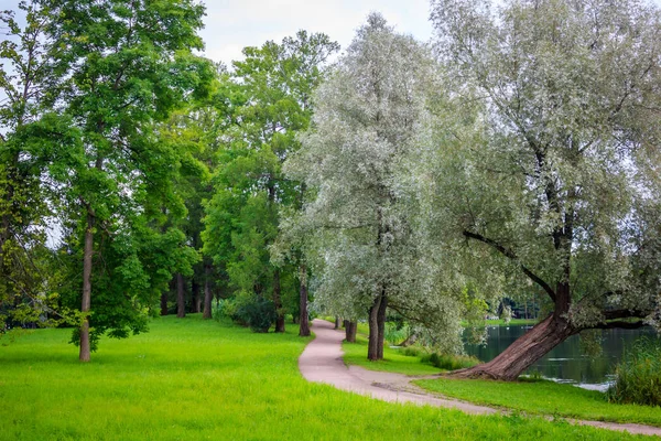 Piękne Lato Park Natura Podróżować — Zdjęcie stockowe