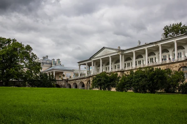 Güzel yaz park. Doğa, seyahat