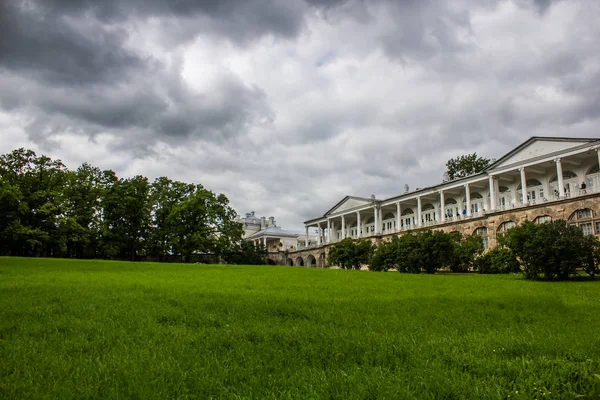 Güzel yaz park. Doğa, seyahat