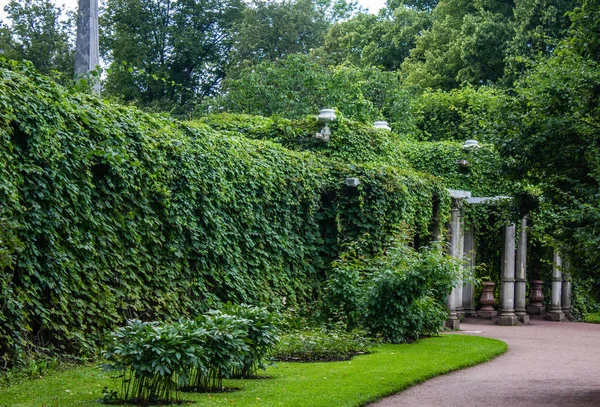Güzel yaz park. Doğa, seyahat