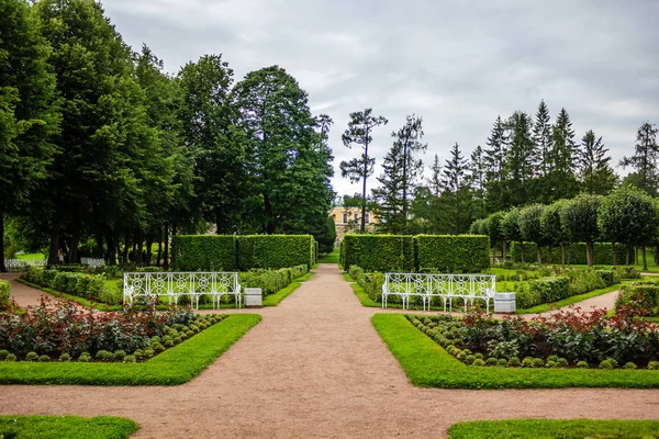 Mooie Zomerse Park Natuur Reizen — Stockfoto